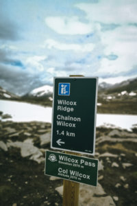 Schild Wilcox Ridge