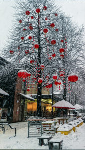 Baum mit chinesischen Lampions in Downtown Vancouver im Winter