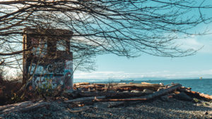 Foreshore Trail - Turmruine an Steinstrand
