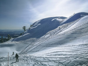 Schneelandschaft