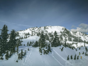 schneebedeckter Berg und Bäume
