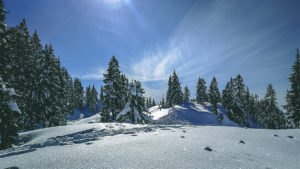 Schneelandschaft Mount Seymour