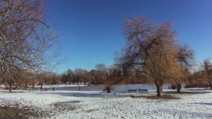 Blick auf Trout Lake mit Bäumen im Vordergrund