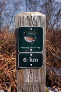 Burnaby Lake - Schild Burnaby Loop