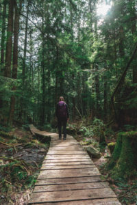 Baden Powell Trail
