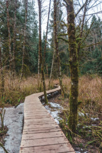 Baden Powell Trail