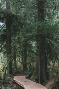 Baden Powell Trail