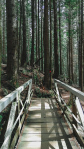 Baden Powell Trail