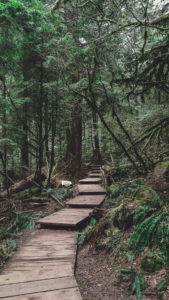 Baden Powell Trail