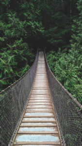 Lynn Canyon Suspension Bridge