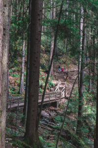 Baden Powell Trail