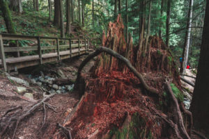 Baden Powell Trail
