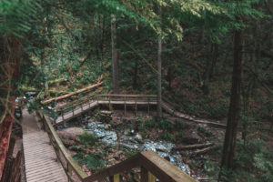 Baden Powell Trail