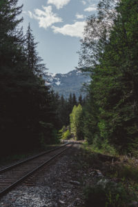 Weg zu den Brandywine Falls