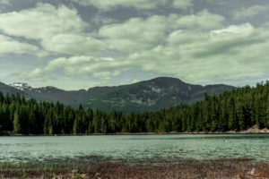Whistler