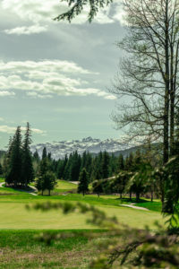 Whistler