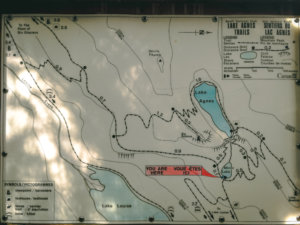 Wanderkarte Lake Agnes Trails