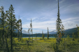 Emerald Lake