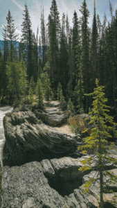 Steinformationen an der Natural Bridge