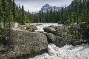 Natural Bridge