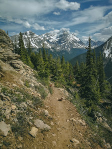 Paget Lookout Trail auf dem Weg nach oben