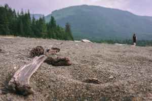 Strand Arrow Lake