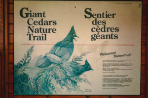 Schild Giant Cedar Nature Trail
