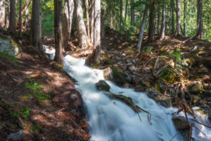 Bach an der Broken Bridge Revelstoke