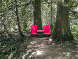 Skunk Cabbage Trail